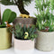 Gift Republic Bloempot Decoratie - Honden (set van 4)