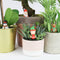 Gift Republic Bloempot Decoratie - Kerst (set van 4)