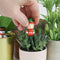 Gift Republic Bloempot Decoratie - Kerst (set van 4)