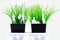 Gift Republic Bloempot Decoratie - Klassieke Standbeelden (set van 4)