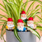Gift Republic Bloempot Decoratie - Mini Tuinkabouters (set van 4)