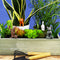 Gift Republic Bloempot Decoratie - Yoga Katten (set van 4)