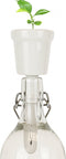 Gift Republic Botanical Bottles - Kweekset Bonsai Boompjes