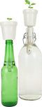 Gift Republic Botanical Bottles - Kweekset Bonsai Boompjes