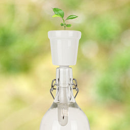 Gift Republic Botanical Bottles - Kweekset Koffie Plant