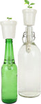 Gift Republic Botanical Bottles - Kweekset Koffie Plant