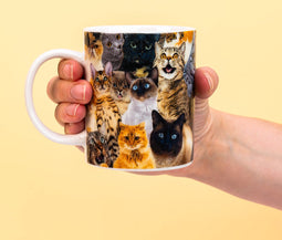 Gift Republic Crazy Cat Mok