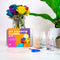 Gift Republic Doe-het-zelf pakket - Regenboog Bloemen