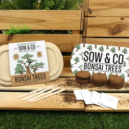 Gift Republic Grow It - Kweekset Bonsai Boompjes