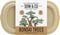 Gift Republic Grow It - Kweekset Bonsai Boompjes
