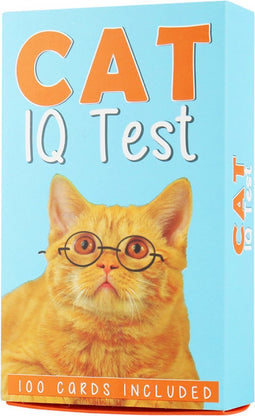 Gift Republic Kat IQ Test