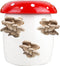Gift Republic - Kweekset Paddestoelen