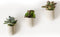 Gift Republic Magnetische Plantenpotjes (set van 3)