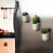 Gift Republic Magnetische Plantenpotjes (set van 3)