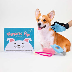 Gift Republic Massage Kit - Hond