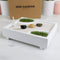 Gift Republic Mini Zen Tuintje