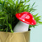 Gift Republic Paddenstoel Planten Waterdruppelaar