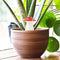 Gift Republic Paddenstoel Planten Waterdruppelaar