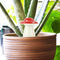 Gift Republic Paddenstoel Planten Waterdruppelaar