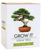 Gift Republic Sow & Co - Kweekset Bonsai Boompjes