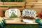 Gift Republic Sow & Co - Kweekset Cactussen