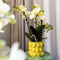 Gift set Citrus Plantenset met gele Phalaenopsis Orchidee en Succulenten incl. keramieken sierpotten -