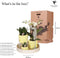 Gift set Citrus Plantenset met gele Phalaenopsis Orchidee en Succulenten incl. keramieken sierpotten -