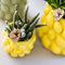 Gift set Citrus Plantenset met gele Phalaenopsis Orchidee en Succulenten incl. keramieken sierpotten -