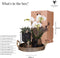 Gift set Home Hub | Plantenset met Phalaenopsis Orchidee en Succulenten incl. keramieken sierpotten -