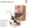 Gift set Scandic white | Plantenset met witte Phalaenopsis Orchidee en Succulenten incl. keramieken sierpotten -