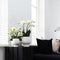 Gift set Scandic white | Plantenset met witte Phalaenopsis Orchidee en Succulenten incl. keramieken sierpotten -