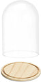Giftdecor Decoratie stolp - glas - houten beige plateau - D20 x H30 cm