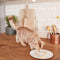 Gimcat Milk Bits - Kattensnack - 40 g