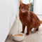 GimCat Pudding Pouch - Kattensnack - 150 g
