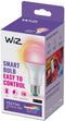 WiZ A67 - Slimme Lamp - Multi-color - E27 (1x)