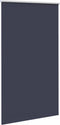 vidaXL - Rolgordijn - verduisterend - 125x210 - cm - stofbreedte - 121,6 - cm - blauw