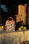 Sticky Lemon Backpack/Boekentas Small Farmhouse - Lemons - Checkerboard