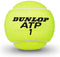 Dunlop ATP Championship - Tennisballen - Gasgevuld - Geschikt voor alle baansoorten (2x4 stuks)