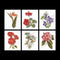 Thea Gouverneur - Borduurpakket met telpatroon - 3081A - Voorgesorteerde DMC Garens - 6 Bloemportretten - Aida - 6 cm x 17 cm - DIY Kit