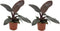 Plant in a Box - Philodendron Black Cardinal - Set van 2 - Sterke kamerplant - Donkere bladeren - Pot 12cm - Hoogte 20-30cm