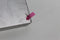 Bosch DWB97CM50 - Wandschouwkap 90 cm - Extra stil A+