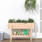 vidaXL - Plantenbak - verhoogd - 101x30x69 - cm - massief - grenenhout