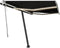 vidaXL - Luifel - vrijstaand - automatisch - 300x250 - cm - antracietkleurig