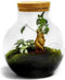 Growing Concepts DIY Duurzaam Ecosysteem Bol - H30xØ18cm