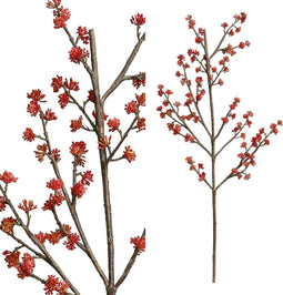 PTMD berry plant rood bessentak