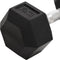 vidaXL - Halters - 2 - st - 20 - kg - gietijzer