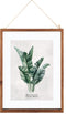 Glazen Frame Met Botanische Illustratie Musa - Poster Plant - Print Tekening met Lijst - 38x48 cm