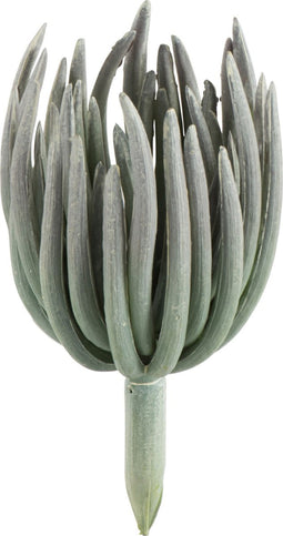 J-Line plant Echeveria - kunststof - mat groen