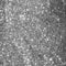 Glitter en pailletten, 6x5 gr, zilver