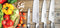Global G3 Vleesmes - 21 cm